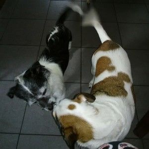 Meet your Posher, Lena